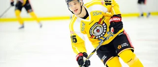 Luleå Hockey förlänger med publikfavoriten