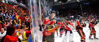 Förre Luleåforwarden får ny SHL-chans