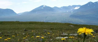Fjällen – från istid till istid
