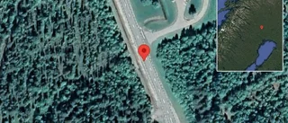Hästar på vägen på E10