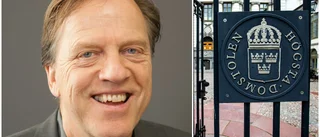 Familjen förlorade trots att de fick rätt – professorn sågar svenskt miljörättsskydd