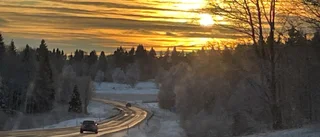 Läsarbilden                   
