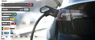 Trendbrottet – nu är elbilen populäraste valet på Gotland • LISTA: Mest sålda bilmodellerna förra året