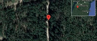 Fallna träd skapar problem i trafiken