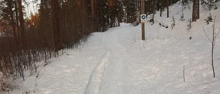 Snöänglar – finns det?        
