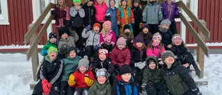 Piteåklasser vann priser i nationell skoltävling inom hållbarhet – 1 500 klasser har engagerat sig