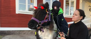 Udda halloweensällskapet – hade häst med sig när de frågade grannar om "bus eller godis"