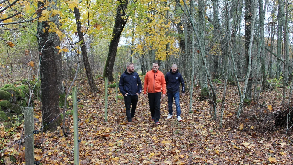 Niklas Konnskog, Anders Heimerlöv och Richard Vestlund driver RMV Skog. Enligt dem är branschen är i stort behov av personal – själva är de ständigt på jakt efter nya medarbetare.