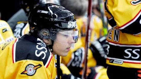 Luleå hockey-Linköping