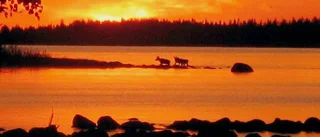Norrbotten har mest skyddad natur i Sverige