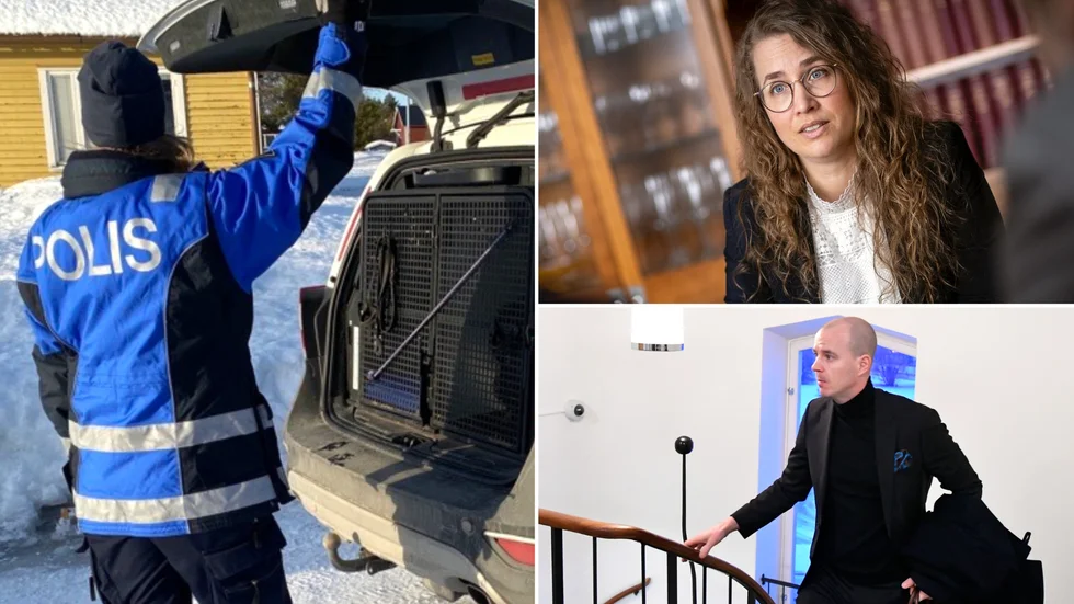 Advokaterna Ida Viderlund och Jens Nyström har utsetts till de två frihetsberövade inlandsbornas försvarare. Både mannen och pojken har i inledande polisförhör förnekat brott. I en TT-intervju har två poliser redogjort för händelseförloppet, hur offret slog larm om ”maskerade män” i bostaden.
