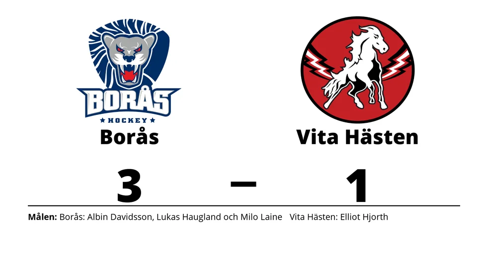 Borås HC vann mot HC Vita Hästen