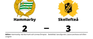 Skellefteå vann borta mot Hammarby