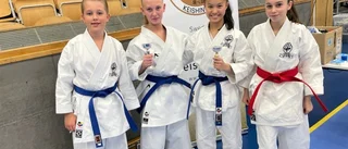 Eskilstunaungdomar tog brons när klassiska Karate Kid cup och Junior Trophy avgjordes