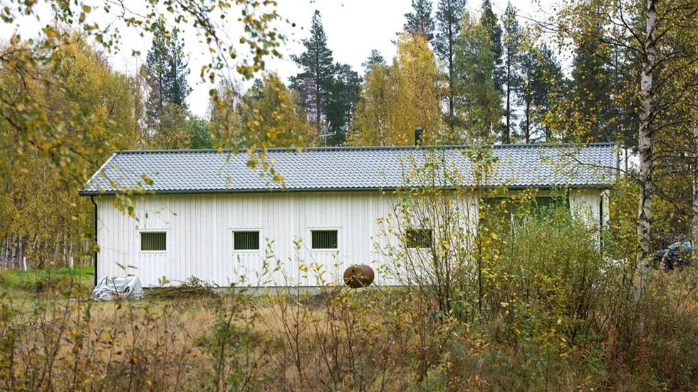 Den misstänkta mutan: Ett stall
 i Luleåområdet.