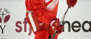 Luleå öppnar för NHL-veteranen