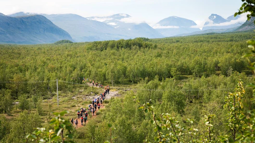 STARTEN. Som en renrajd slingrar sig pärlbandet av vandrare bort mot Kebnekaise. Intresset för Fjällräven classic håller i sig för tionde året i rad.