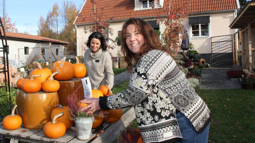 Thérése Langvardt, nyutbildad florist med yrkesbevis och Eva Pettersson fixar med några pumpor som de köpt in från Håbo grönt. På våren säljer de även lokalproducerad jord med flera lokala varor. "Om vi företagare i Håbo tipsar varandra och anlitar varandra, ger det positiva ringar på vattnet", säger Eva Pettersson.