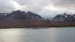 Naturen i Sydgeorgien är dramatisk och storslagen.