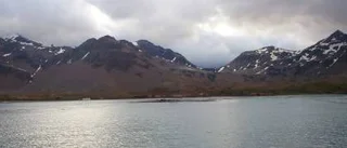 Vid Sydpolen springer renarna åt fel håll
