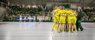 Här är Endres spelschema – då börjar innebandysäsongen