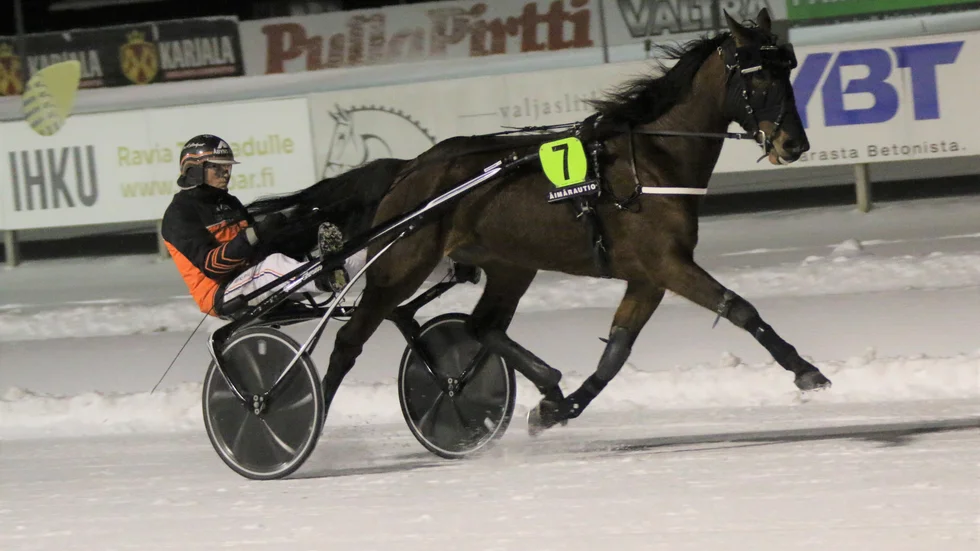 Catchdrivern Ove A Lindqvist årsdebuterar Olea Håleryd i V64-4 på Bodentravet. Hästen rapporteras skött vinterträningen bra. 