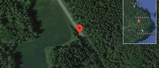 Fallna träd skapar problem i trafiken på väg 255