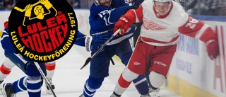 Luleå Hockey ligger bäst till i kampen om Andreasson – agenten: "En handfull av klubbarna i SHL har meddelat att de är intresserade"