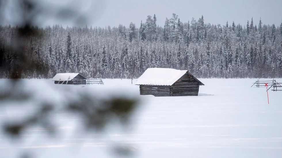Vasikkavuoma i Pajala, ett av områdena som förlorar anslag till naturvård.