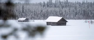 Dumsnålt slopa stöd för naturvård