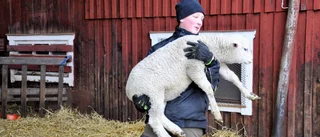 Vidar tar sikte mot eget lantbruk 