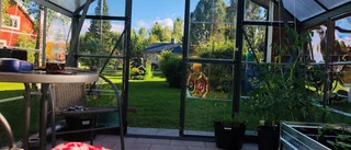 Läsarbilden: Njuter av sommaren i mitt växthus