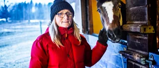 Femårsfest för Finntorps ridklubb i Flen