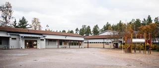 Drömrubriken: "Runtuna växer med 50 personer"