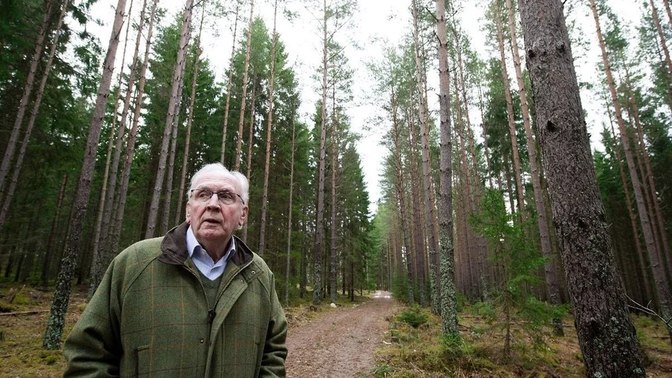 Skogsavverkning _008.jpg