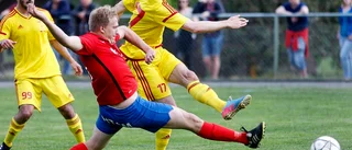 Ärlapubliken bjöds på två drömmål