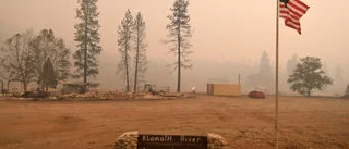 Dödstalet stiger i storbrand i Kalifornien
