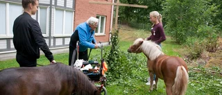Ponnys omtyckt inslag på Trosagårdens midsommarfirande