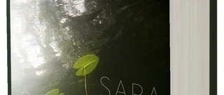 Sara Stridsbergs "Kärlekens Antarktis" borde ge Augustpriset: "Hennes tur nu"
