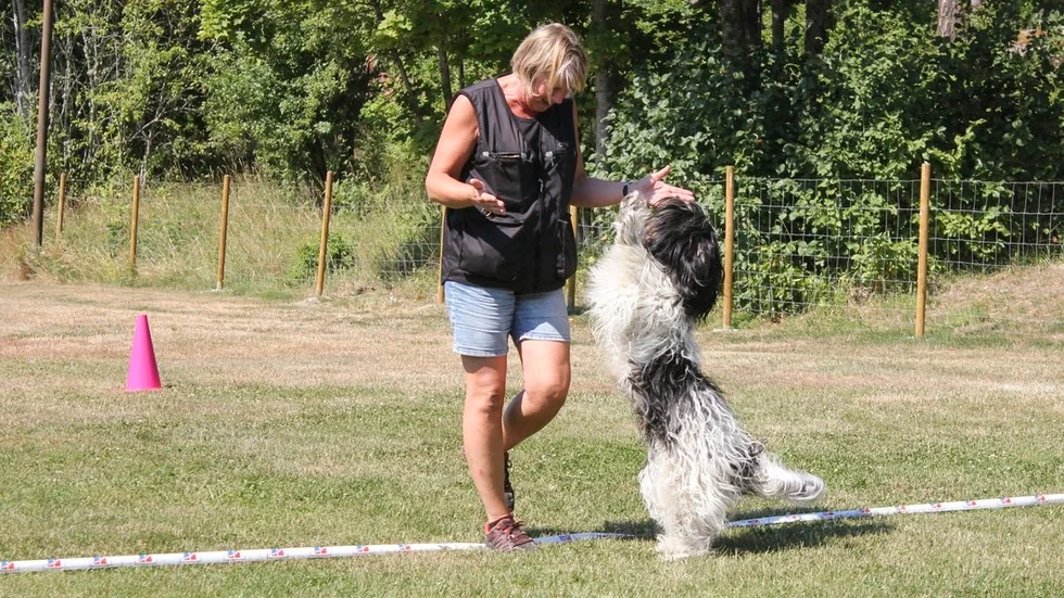 De flesta deltagarna verkade glada trots helgens högsommarvärme.