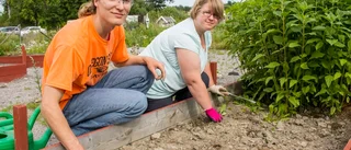 Tillsammansodling frodas trots avhopp