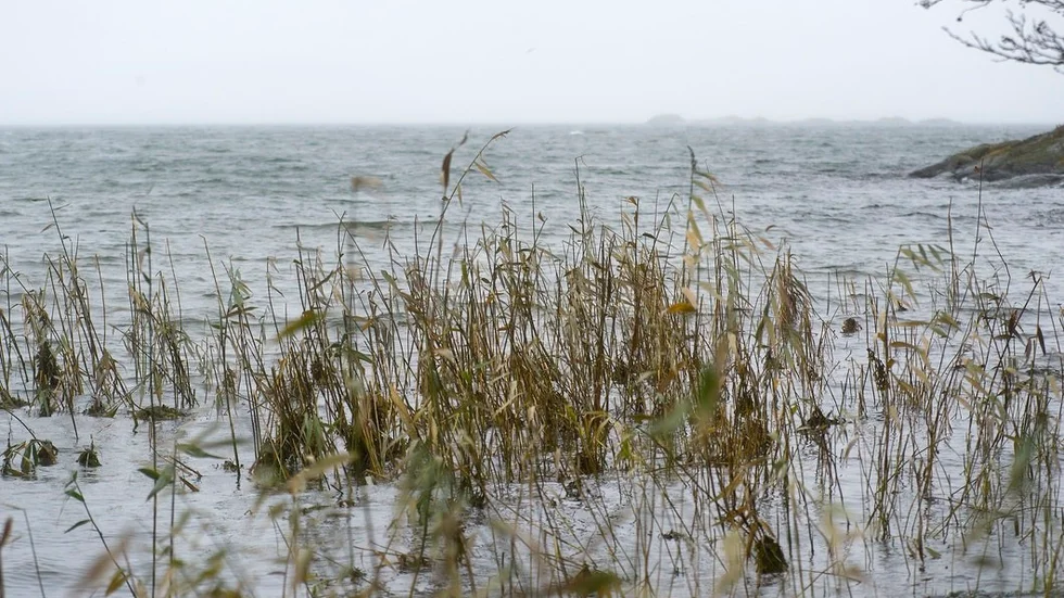 Ta bort skatten på tömning av spillolja, så kanske fartyg slutar att släppa ut oljan i Östersjön, skriver insändarskribenten. FOTO: JENS ALVIN