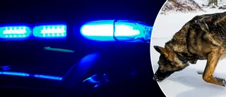 Skolinbrott uppklarat tack vare skarpt luktsinne – två åtalas