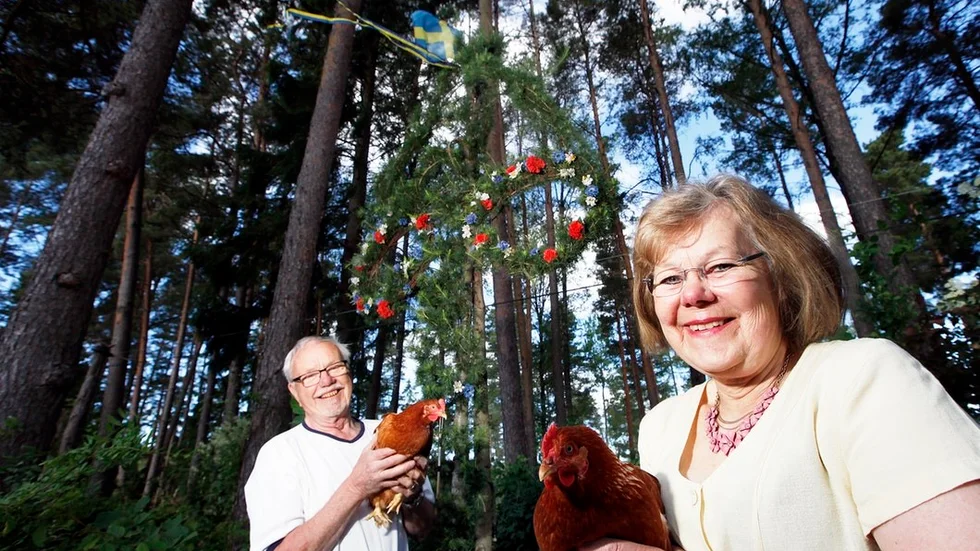 Lars Andersson och Ulla Andersson med var sin höna framför midsommarstången som så att säga klär sig själv.