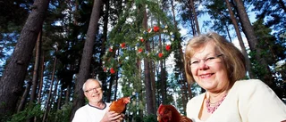 Majstång som blir större för varje år finns i Härad