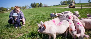 Lugnt men glatt grissläpp på Brene gård