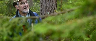 Skogvaktare av den gamla stammen
