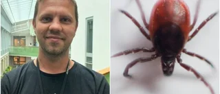 Kan bli nytt rekordår av TBE: "Vi vet först efteråt"