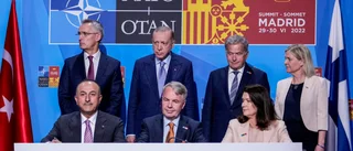 Sex steg kvar – så ser vägen till Nato ut