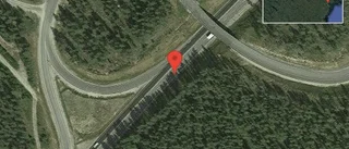 Älg på vägen på E4